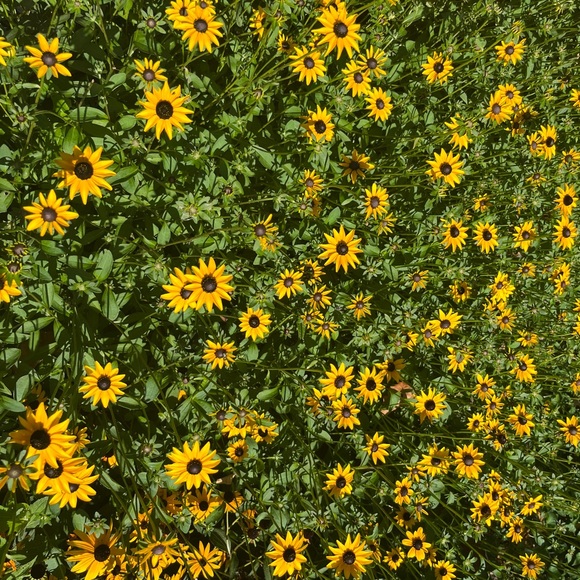 Bundle and Save!!! Offers accepted!!! - Picture 1 of 1